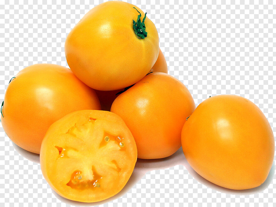 tomato # 601322