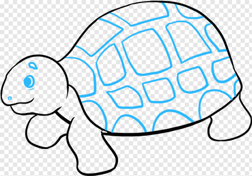 sea-turtle # 755082