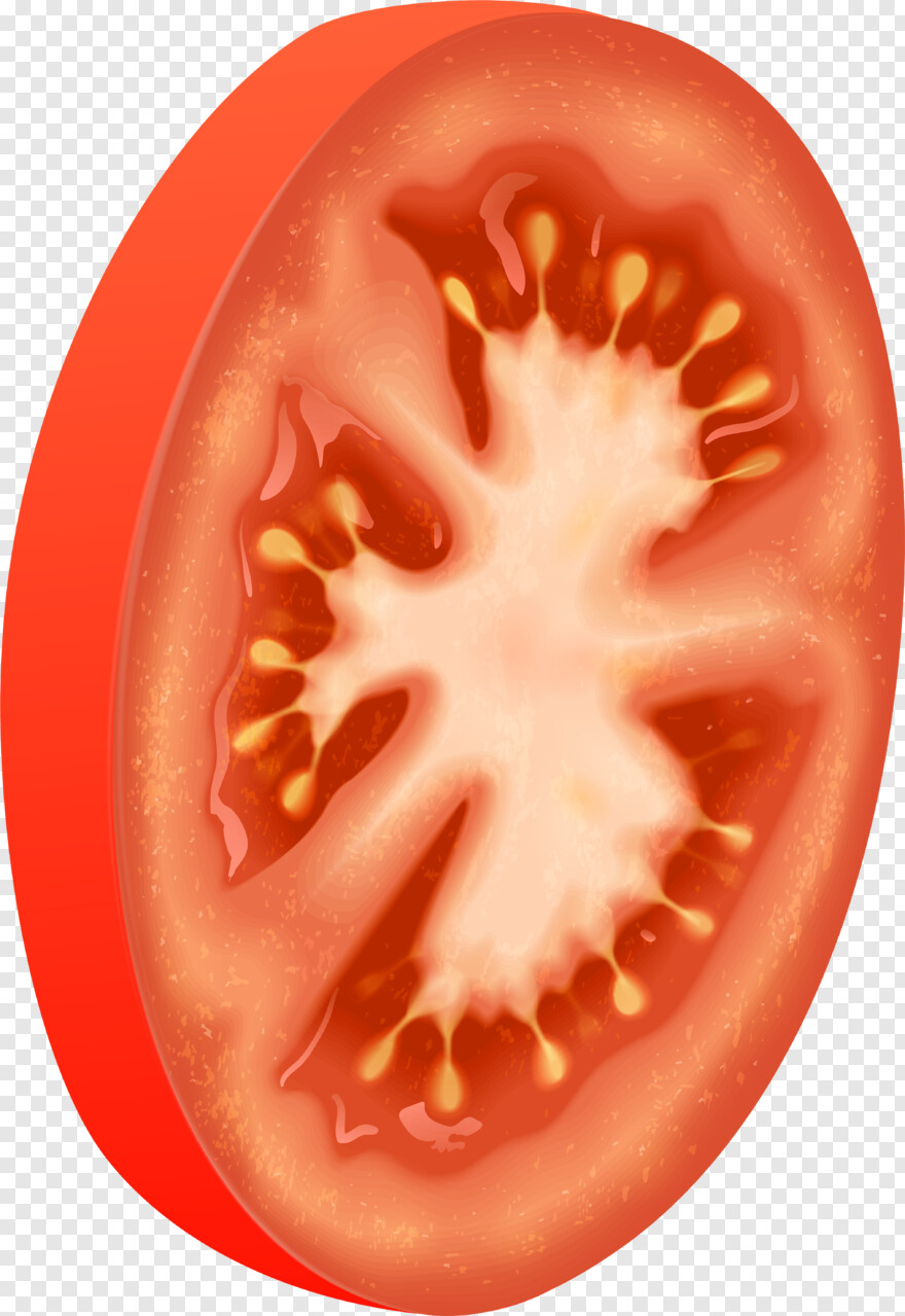 tomato # 650557