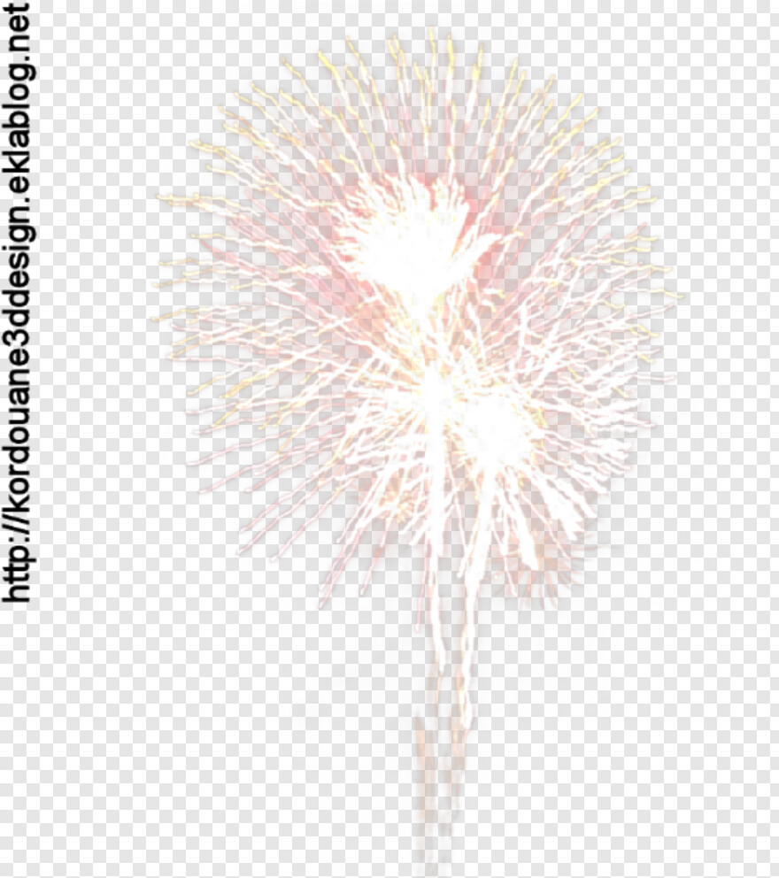 fireworks # 930636