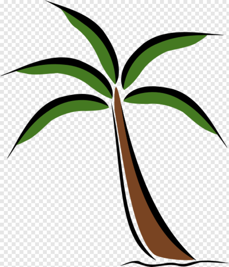 palm-tree # 461444