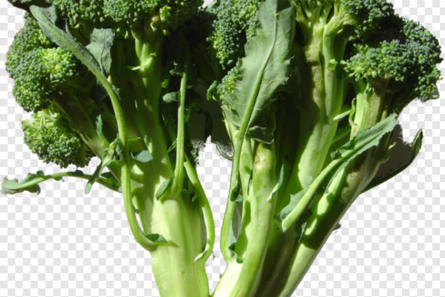 broccoli # 820083