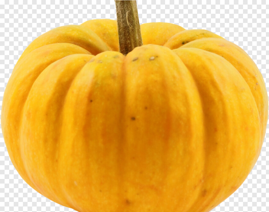 pumpkin # 641135