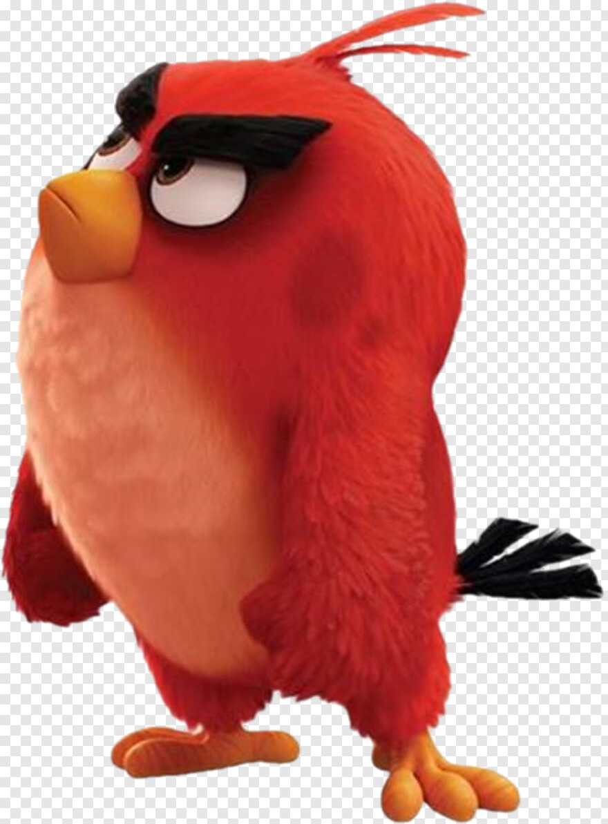angry-birds # 514791