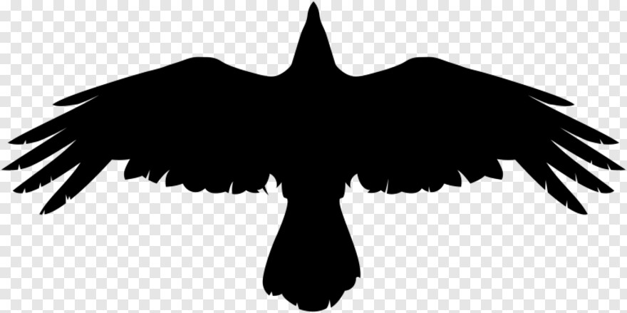 flying-crow # 475130