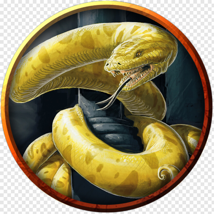 serpent # 624892