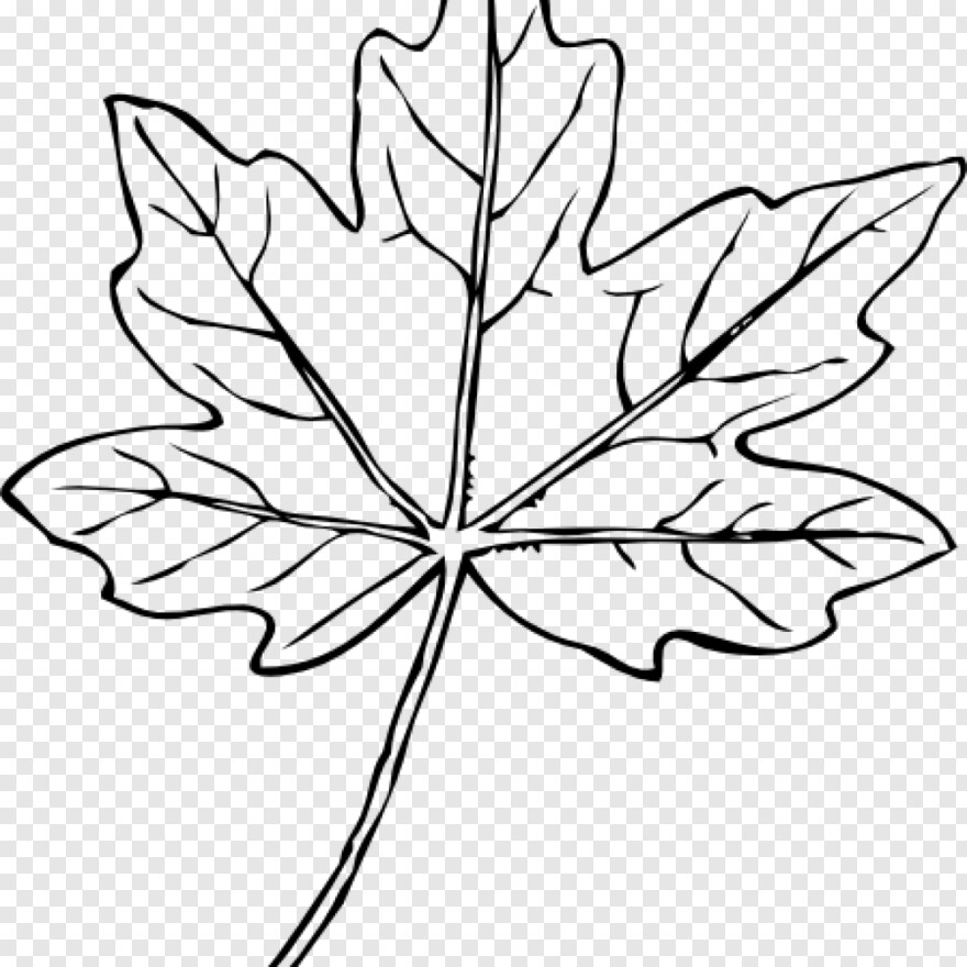 maple-leaf # 999002