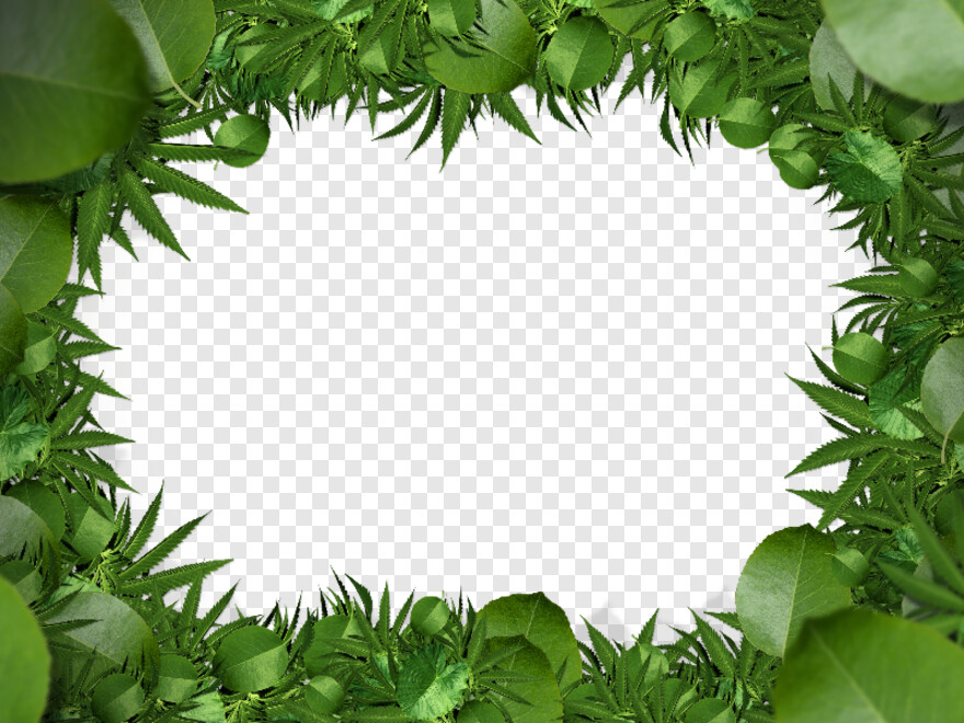 green-leaf-design # 330284