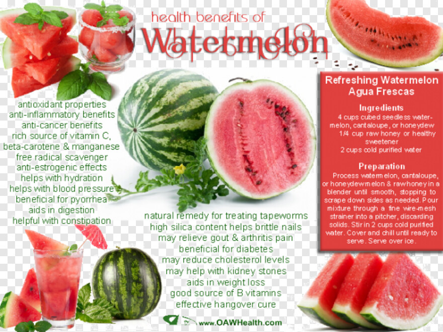 watermelon # 372696
