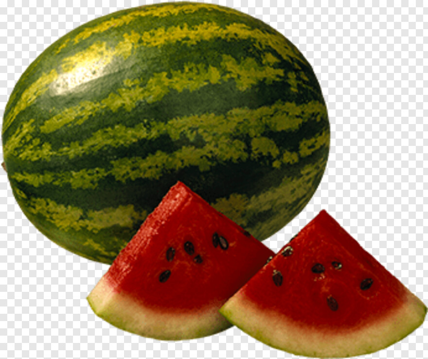 watermelon # 591851
