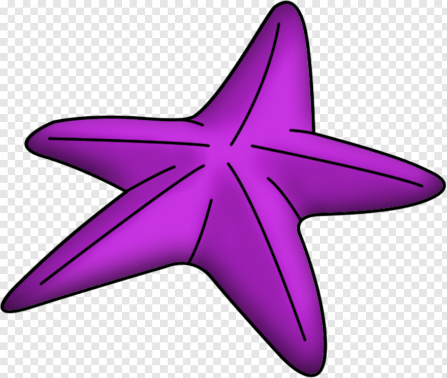 starfish # 667641