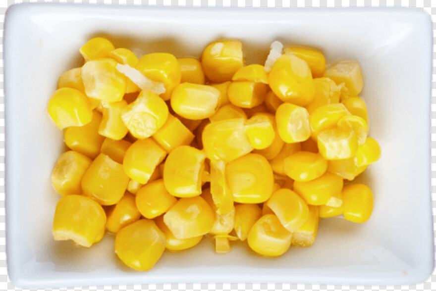 sweet-corn # 956395
