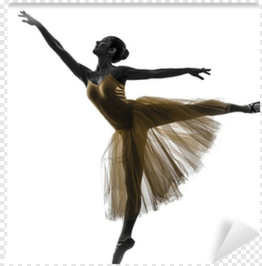 ballet # 416299