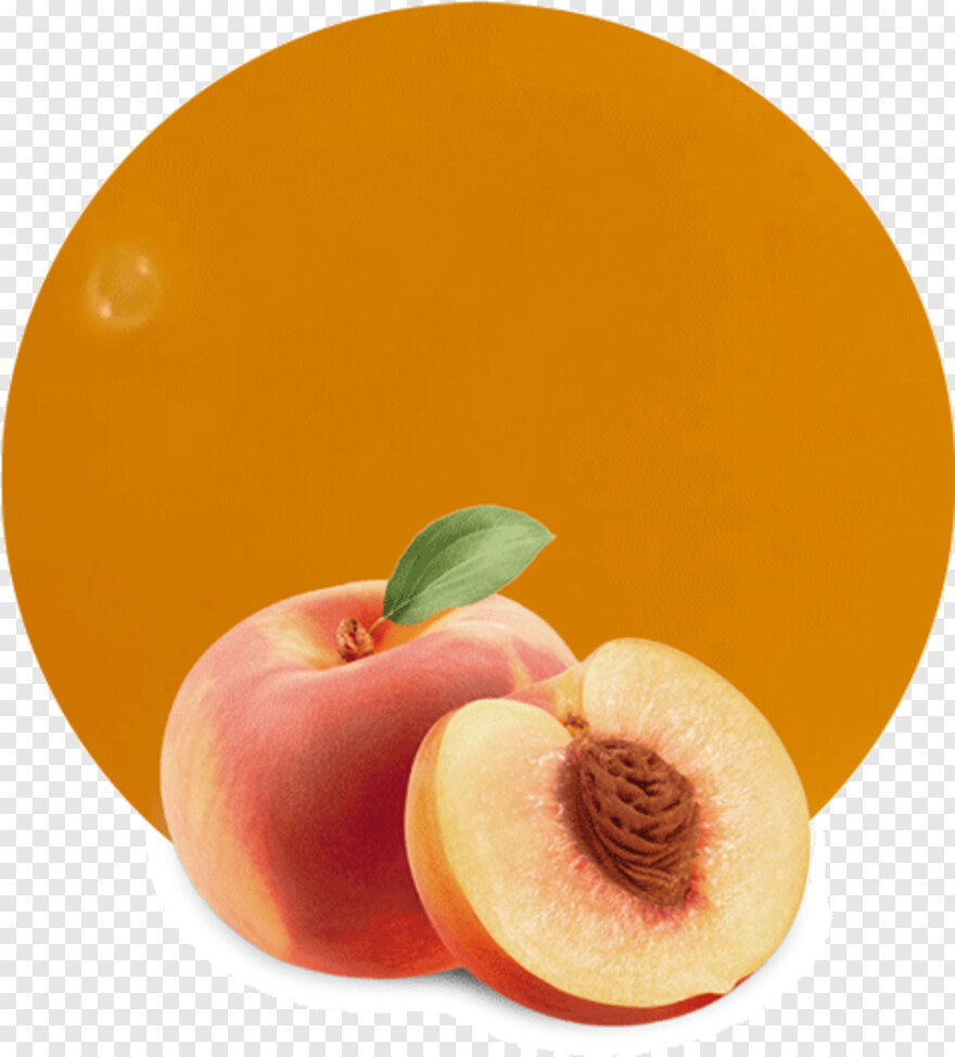 peach # 659785