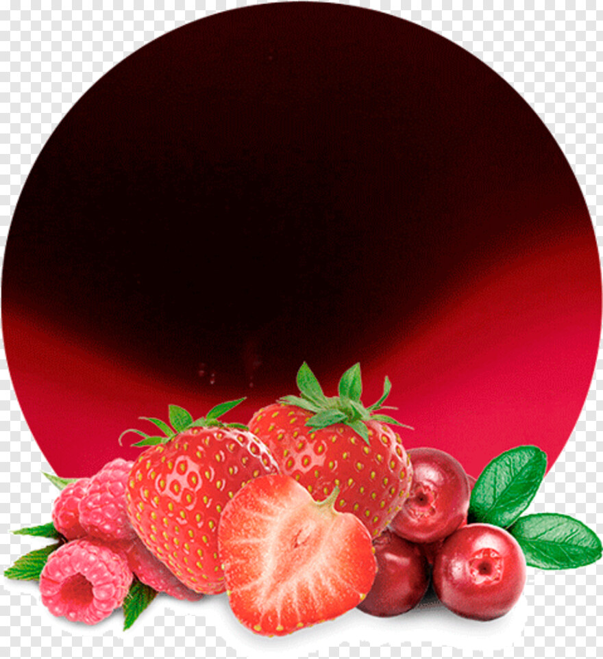 berries # 371914