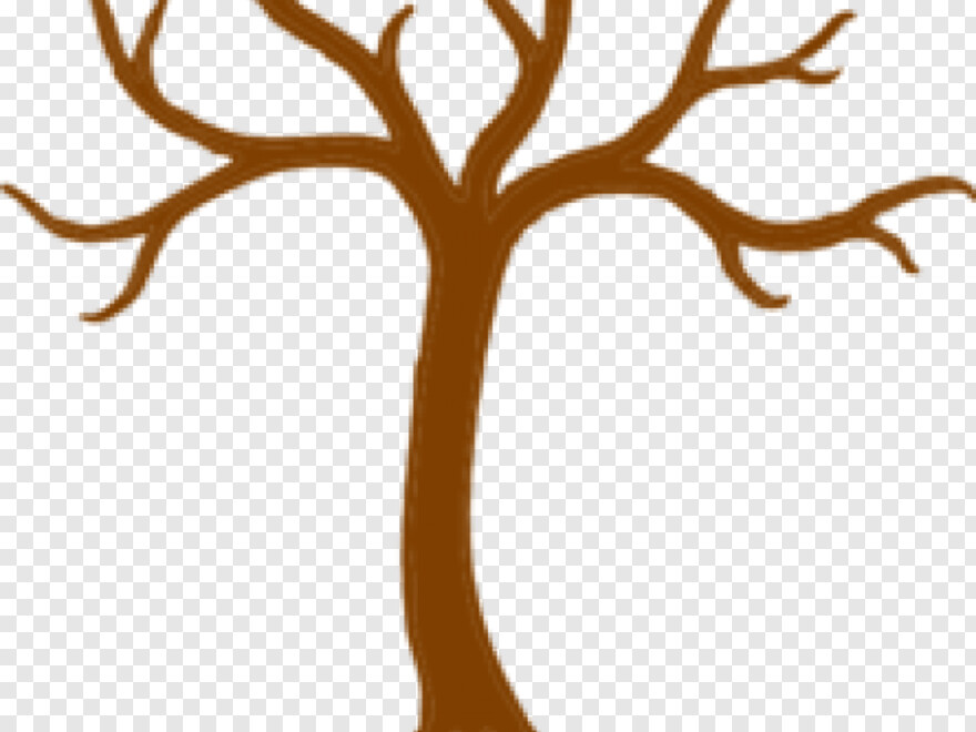 tree-roots # 460790