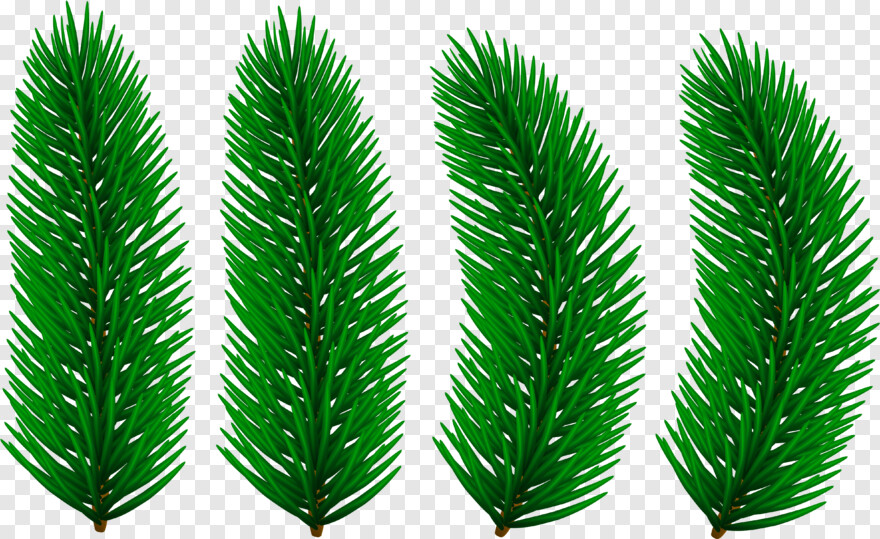 pine # 476685
