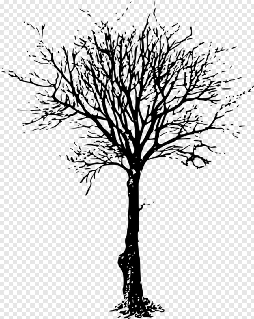 tree-trunk # 460775