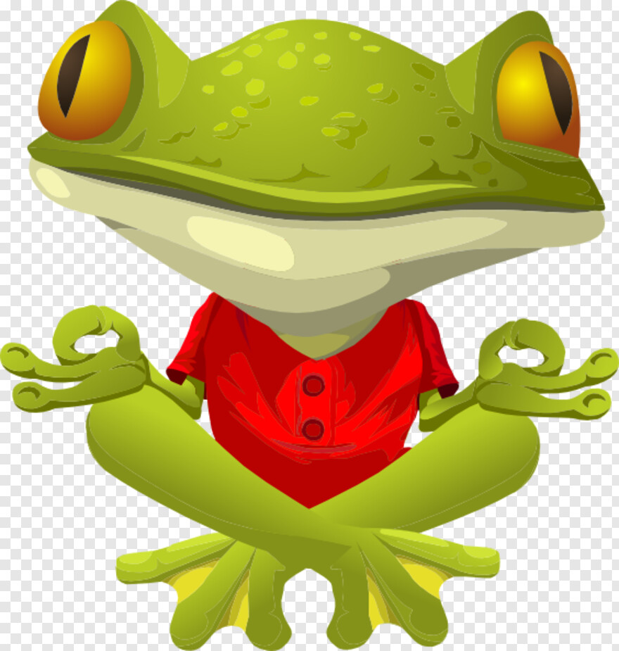 frog # 810993