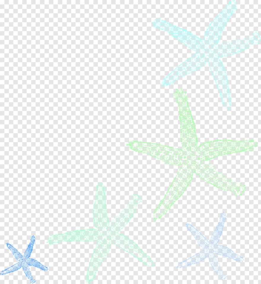 starfish # 612018