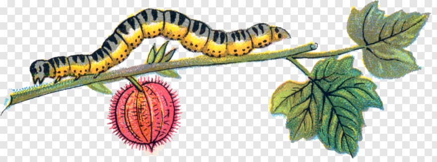 caterpillar-logo # 1048428