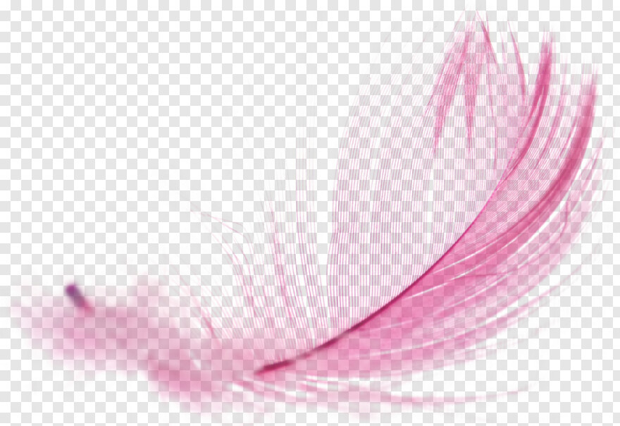 feather-silhouette # 1046738