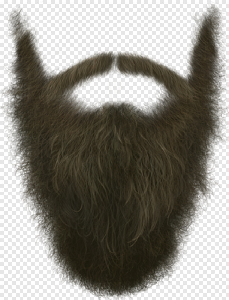 beard # 386487