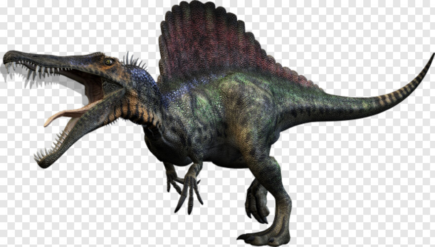dinosaur # 904212