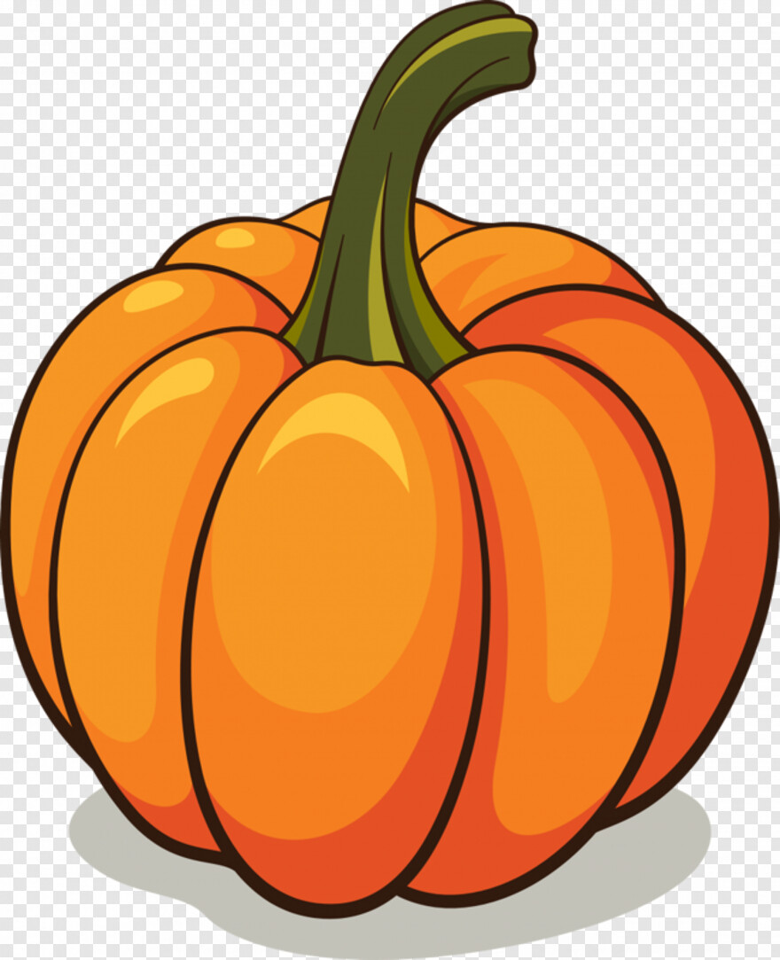 pumpkin # 1055126