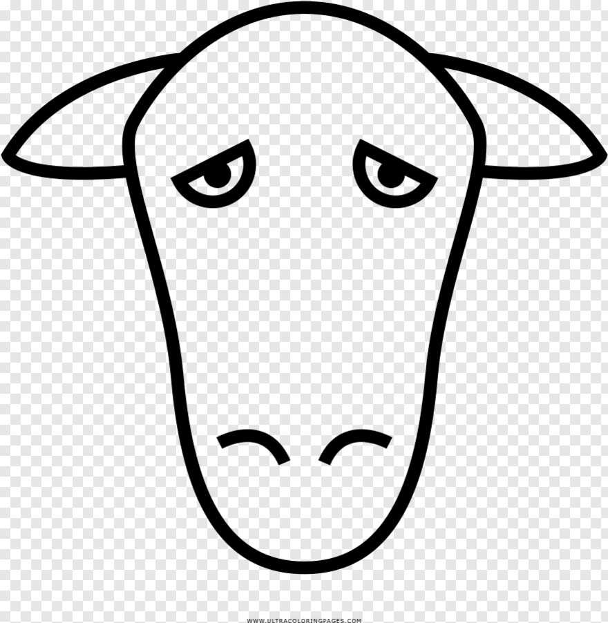 sheep # 981182