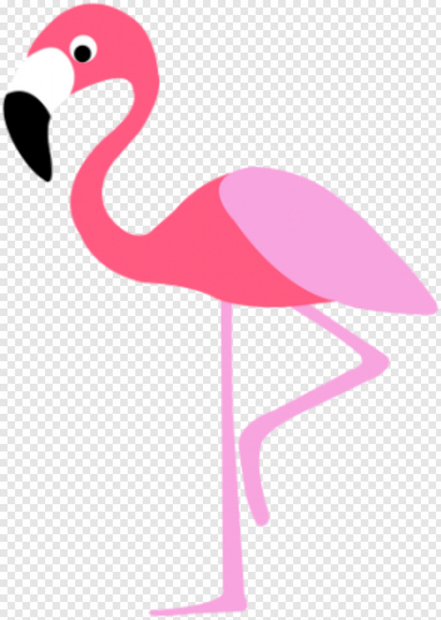 flamingo # 828917