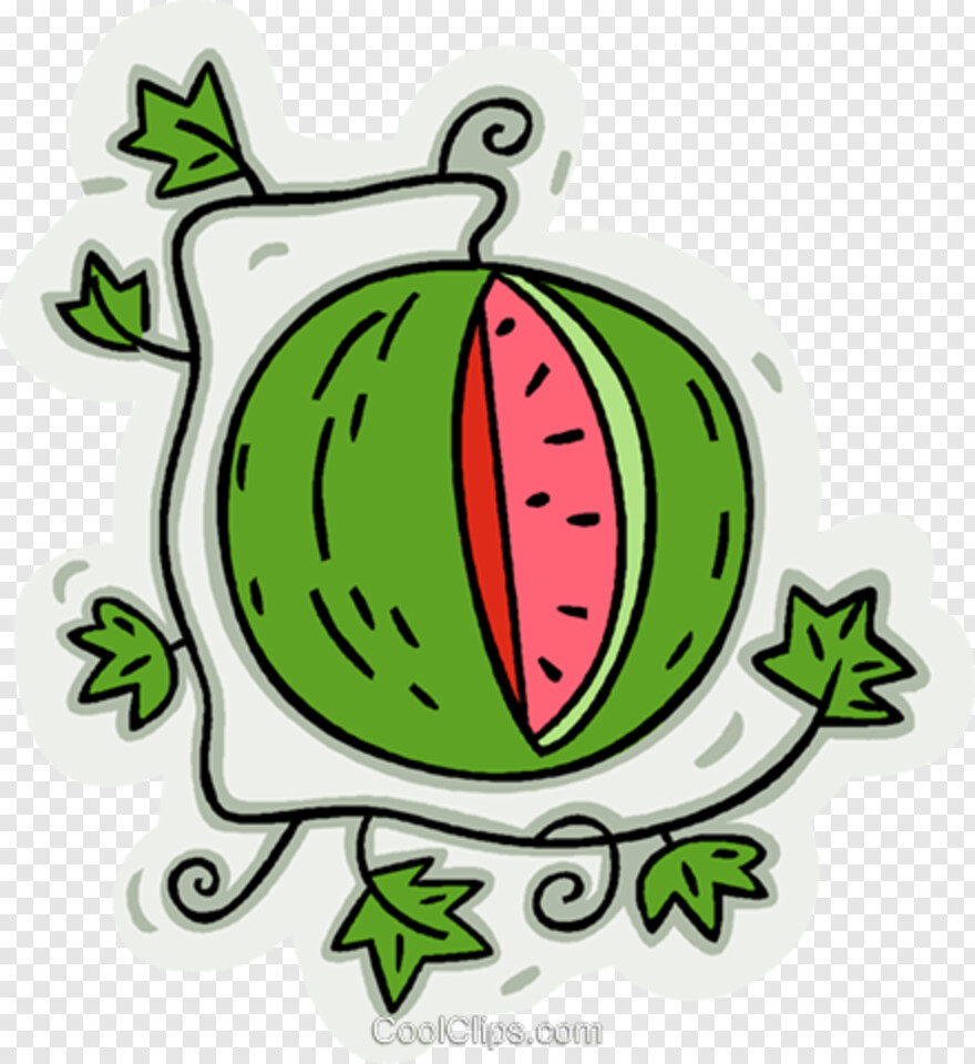 watermelon # 471058