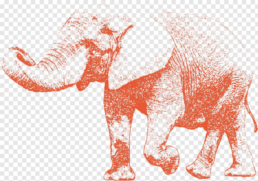 elephant # 869025
