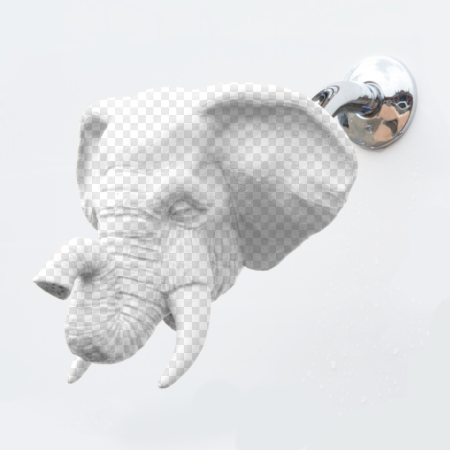 elephant # 869020