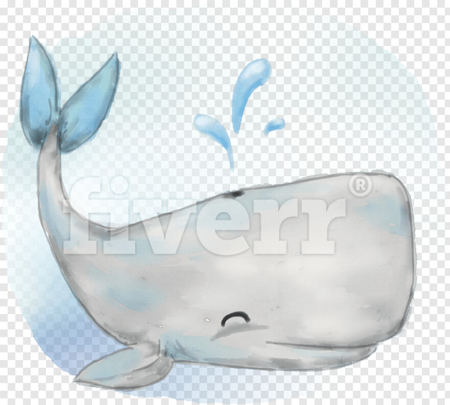 blue-whale # 590705