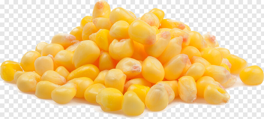 sweet-corn # 956507