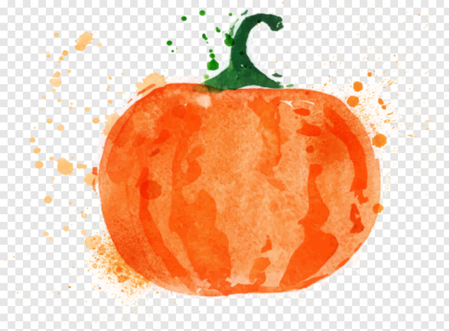 pumpkin # 782634