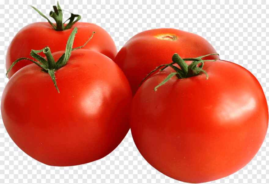 tomato # 601334
