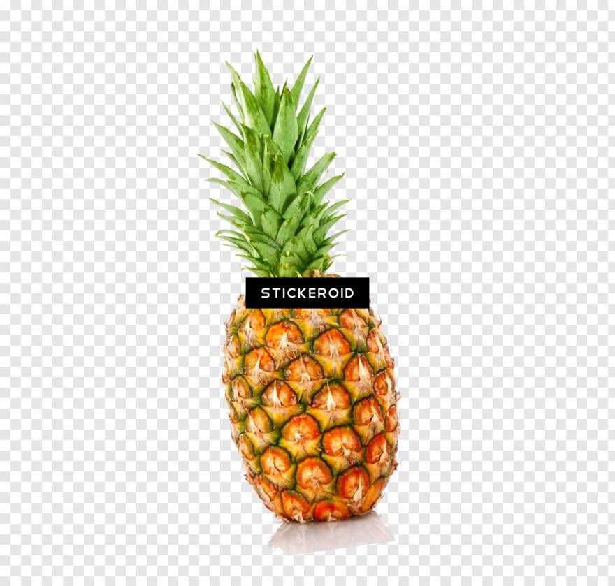 pineapple # 809743