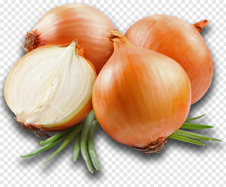 onion # 939397