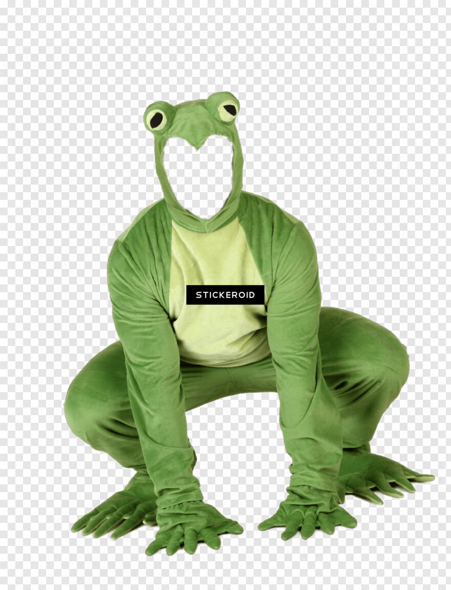 frog # 953810