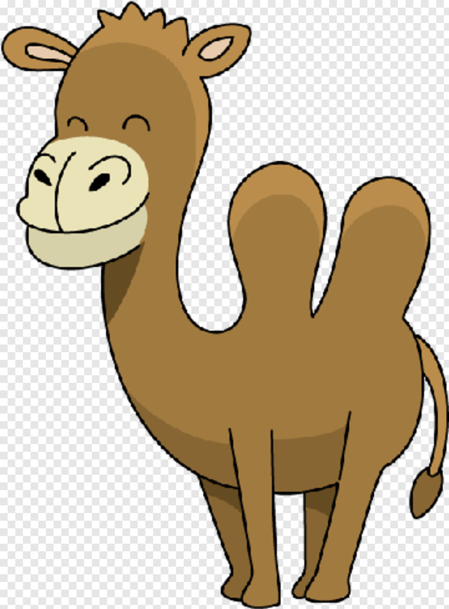 camel # 1080176