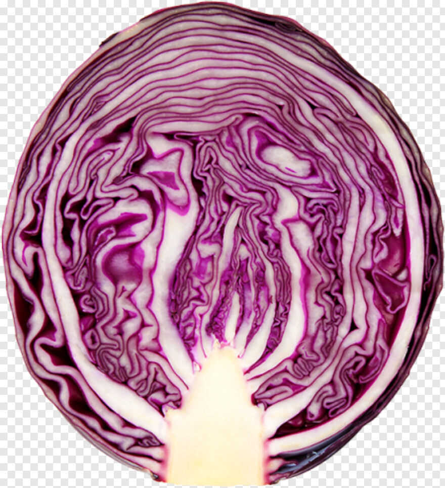 cabbage # 1089940