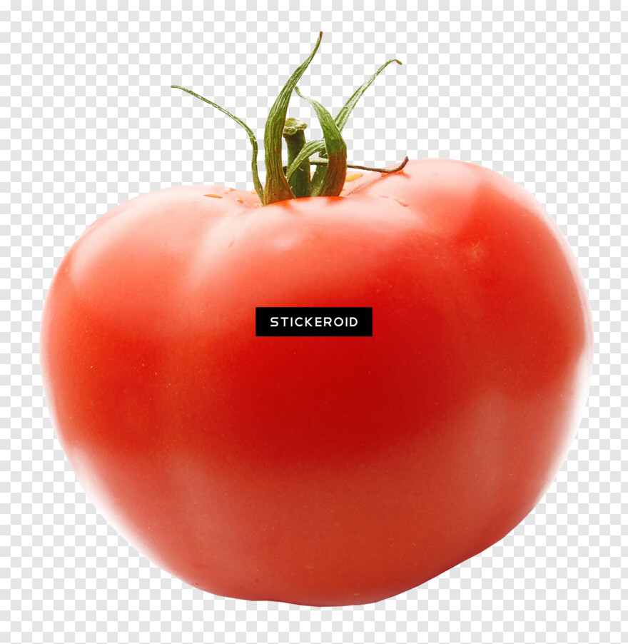 tomato # 601346