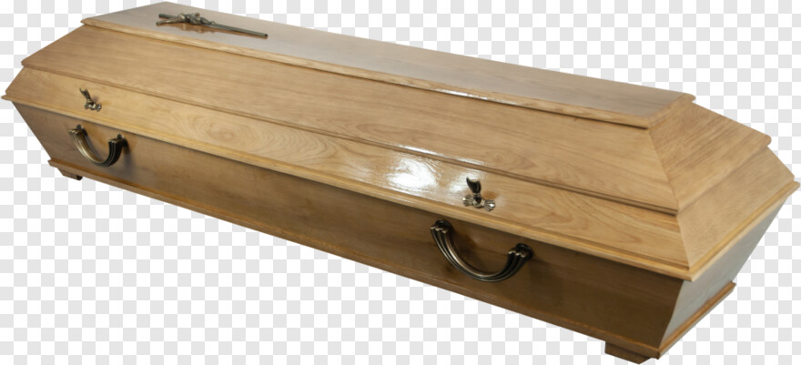 coffin # 987676
