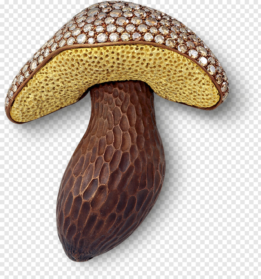 mushroom # 1110581
