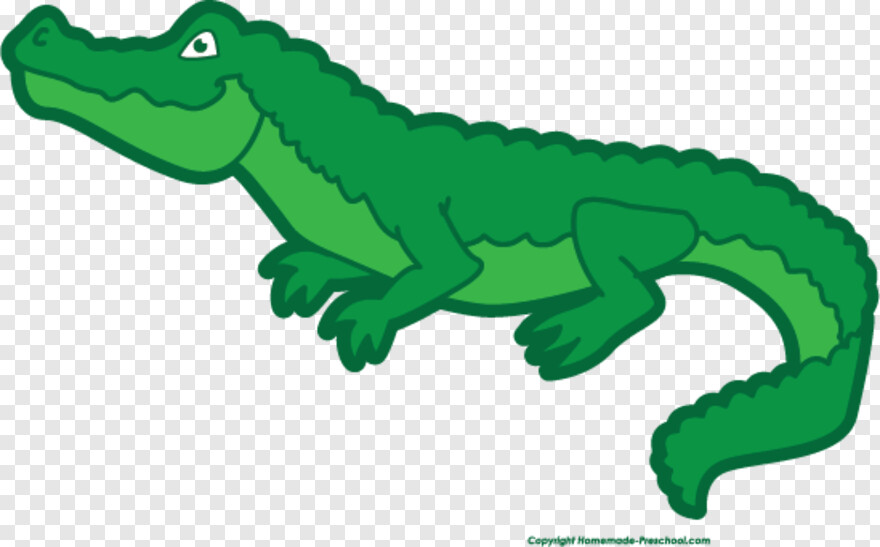 alligator # 538166