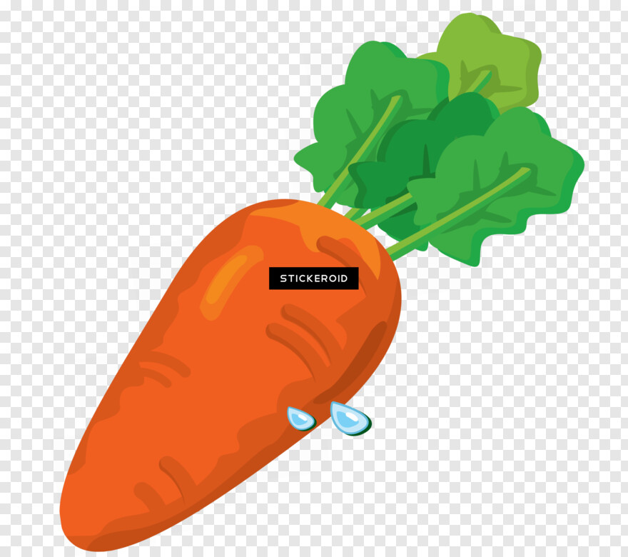 carrot # 1061220