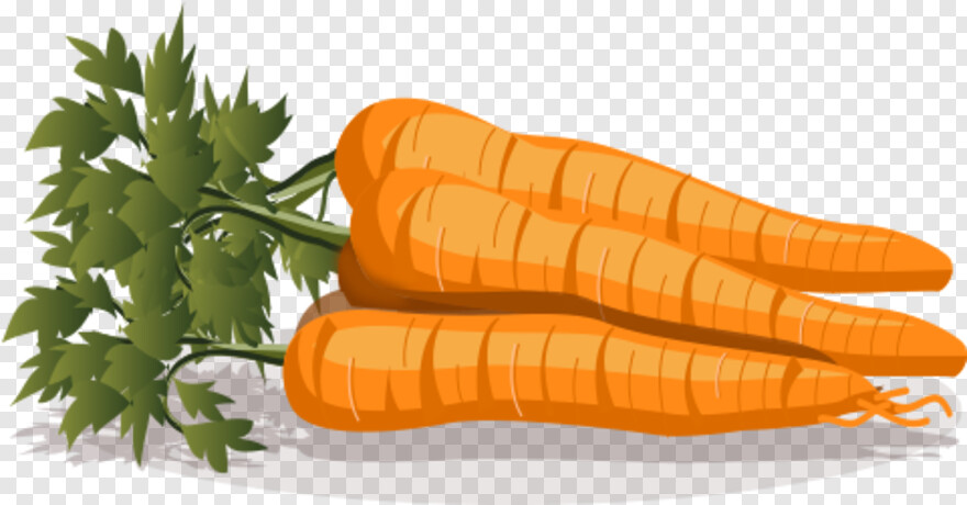 carrot # 576126