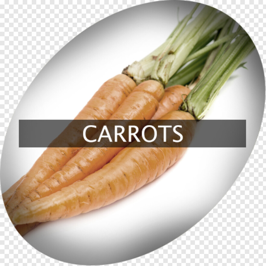 carrot # 1061217